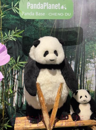 《熊猫说球》第二十三集:规则的精神和调整 《熊猫说球》第二十三集:规则的精神和调整